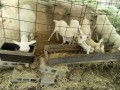 IMG_20260816_084211