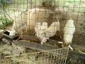 IMG_20260816_084218