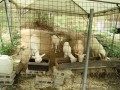 IMG_20260816_084251