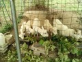 IMG_20260817_111743