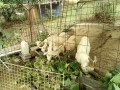 IMG_20260817_111749