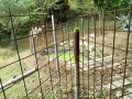 IMG_20260817_111834