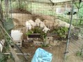 IMG_20260817_112018