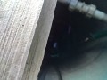 IMG_20260818_081048