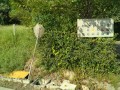 IMG_20260818_081056