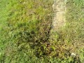 IMG_20260818_081229