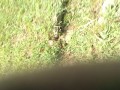 IMG_20260818_081239