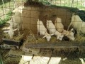 IMG_20260818_082048