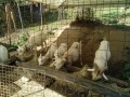 IMG_20260818_082055