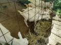 IMG_20260818_082106