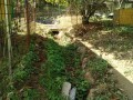 IMG_20260818_082110