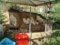 IMG_20260818_082149