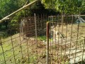 IMG_20260818_082206