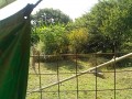 IMG_20260818_082208