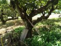 IMG_20260818_105201