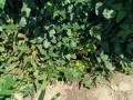 IMG_20260818_115758