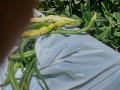 IMG_20260818_115808