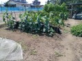 IMG_20260818_115959