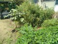 IMG_20260818_120032