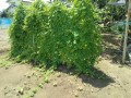IMG_20260818_120039