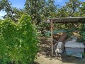 IMG_20260818_120041