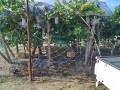 IMG_20260819_075158
