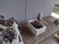 IMG_20260819_092410