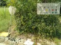 IMG_20260819_100312