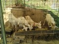 IMG_20260819_100907