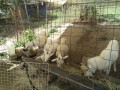 IMG_20260819_100913