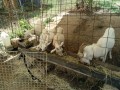 IMG_20260819_100914