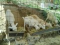 IMG_20260819_100922