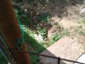 IMG_20260819_100932