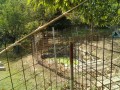 IMG_20260819_100953