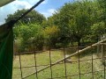 IMG_20260819_100955