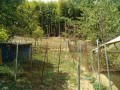 IMG_20260819_101007