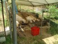 IMG_20260819_101013