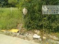 IMG_20260820_093853