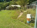 IMG_20260820_093929