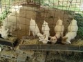 IMG_20260820_095456