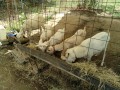 IMG_20260820_095502