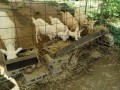 IMG_20260820_095508