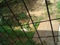 IMG_20260820_095512