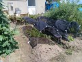 IMG_20260820_103404