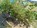 IMG_20260820_103411