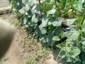 IMG_20260820_103423