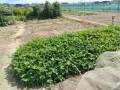 IMG_20260820_103426