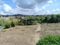 IMG_20260820_103428