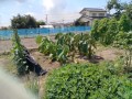 IMG_20260820_103801