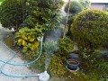 IMG_20260820_184914